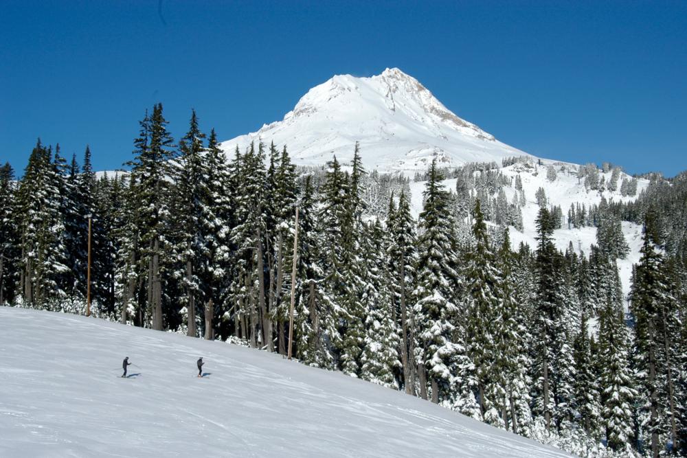 Mount Hood Meadows town guide World Snowboard Guide