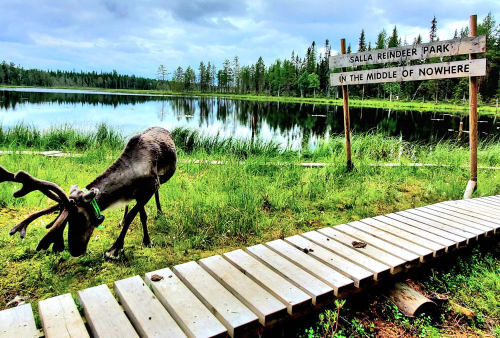 Midsummer in Salla the middle of nowhere - World Snowboard Guide