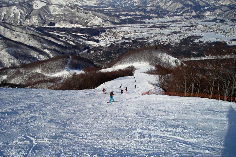 Hakuba 47 Resort Guide - World Snowboard Guide