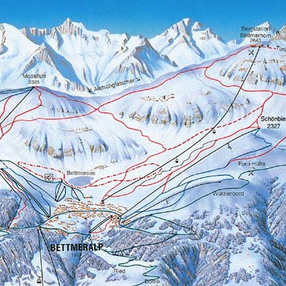 Bettmeralp Resort Guide - World Snowboard Guide